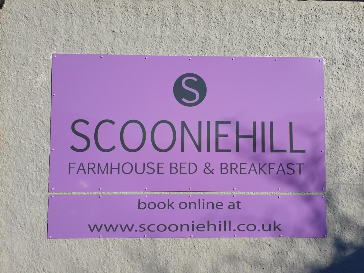 Scooniehill Farm House B&B Сейнт Андрюс Екстериор снимка