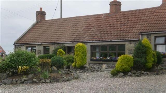 Scooniehill Farm House B&B Сейнт Андрюс Екстериор снимка