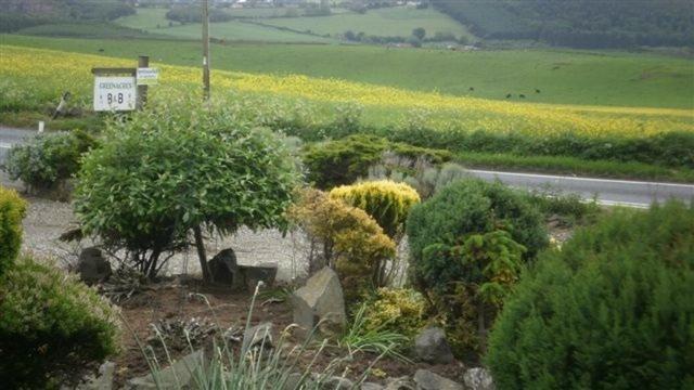 Scooniehill Farm House B&B Сейнт Андрюс Стая снимка